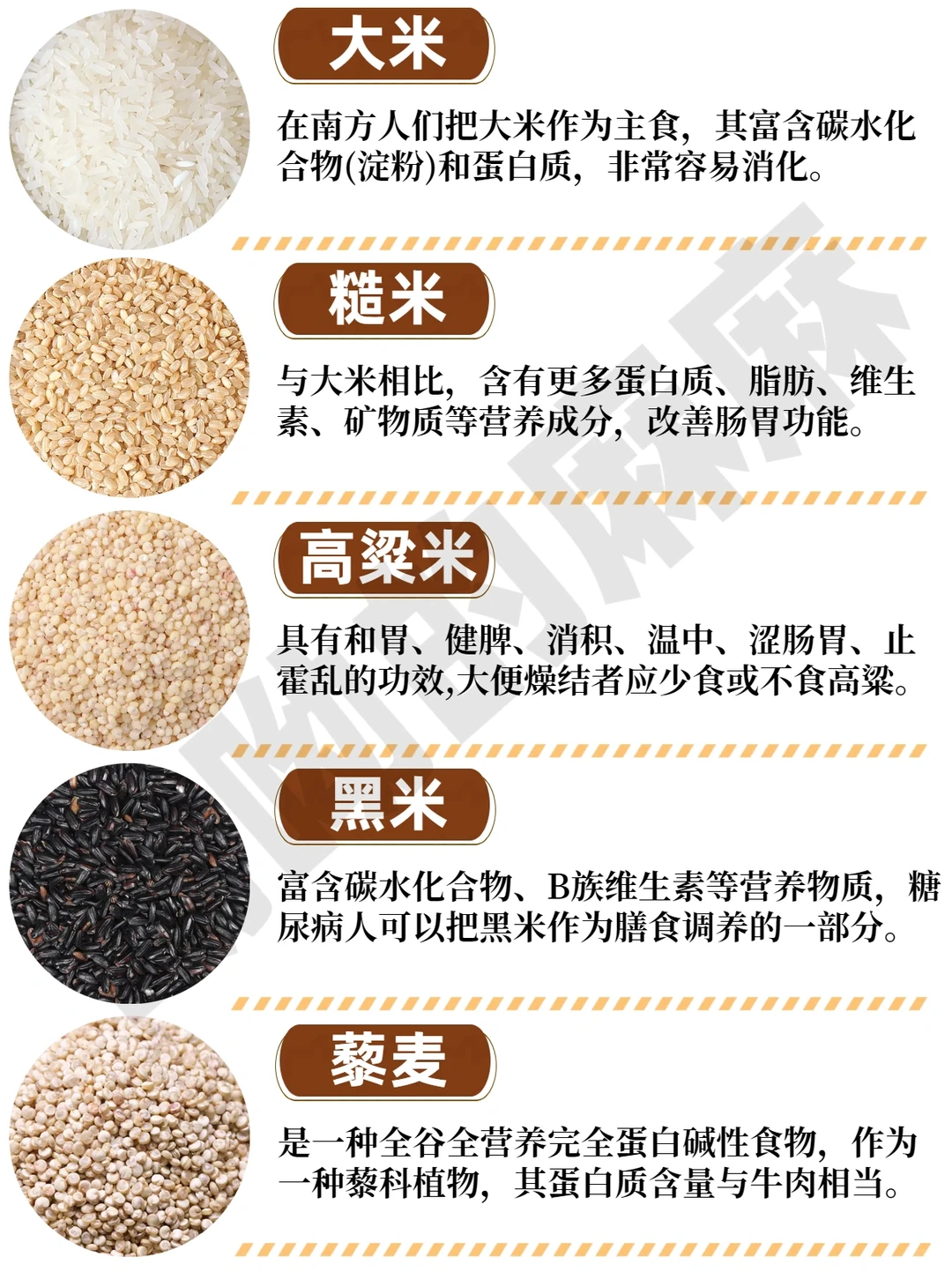 谷物科普丨30种常见五谷杂粮附营养价值?