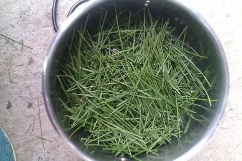 在农村就做这个加工厂,一年也挣十几万!