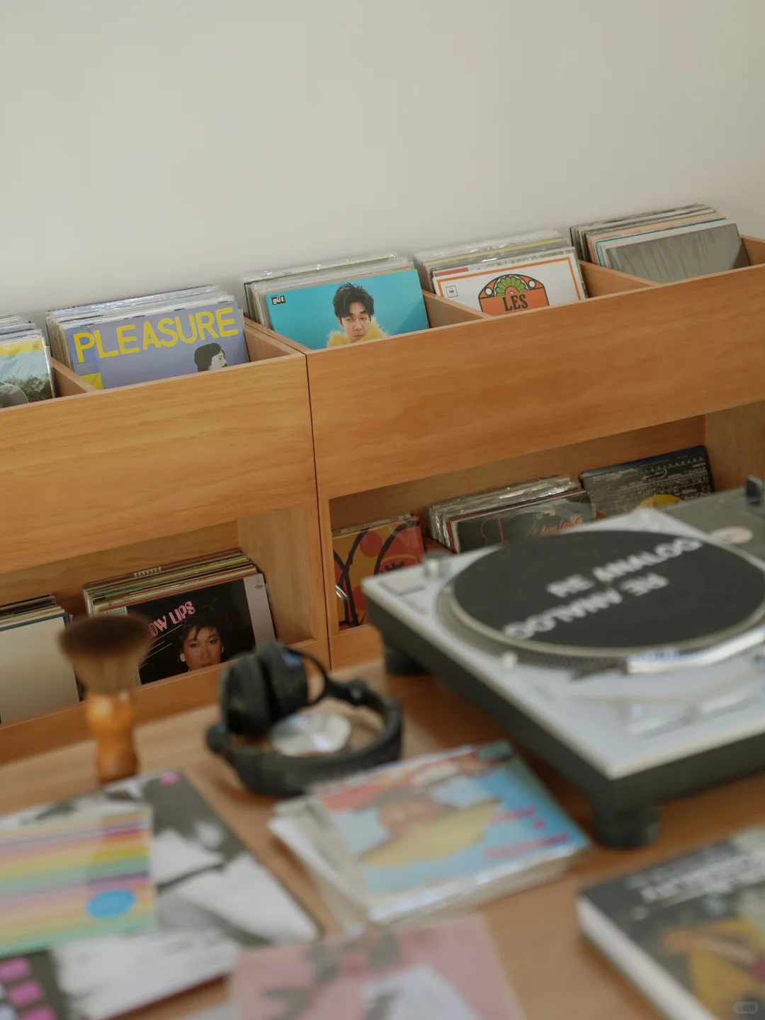 POV.你喜欢黑胶并且有个会点设计的wifie