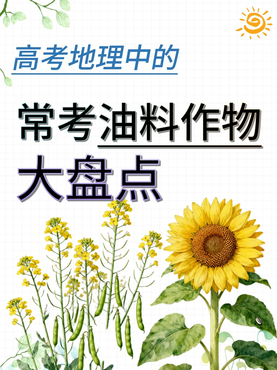 高考地理 | 常考油料作物大盘点