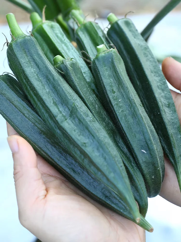 六七月，这些耐高温作物蔬菜还能种！