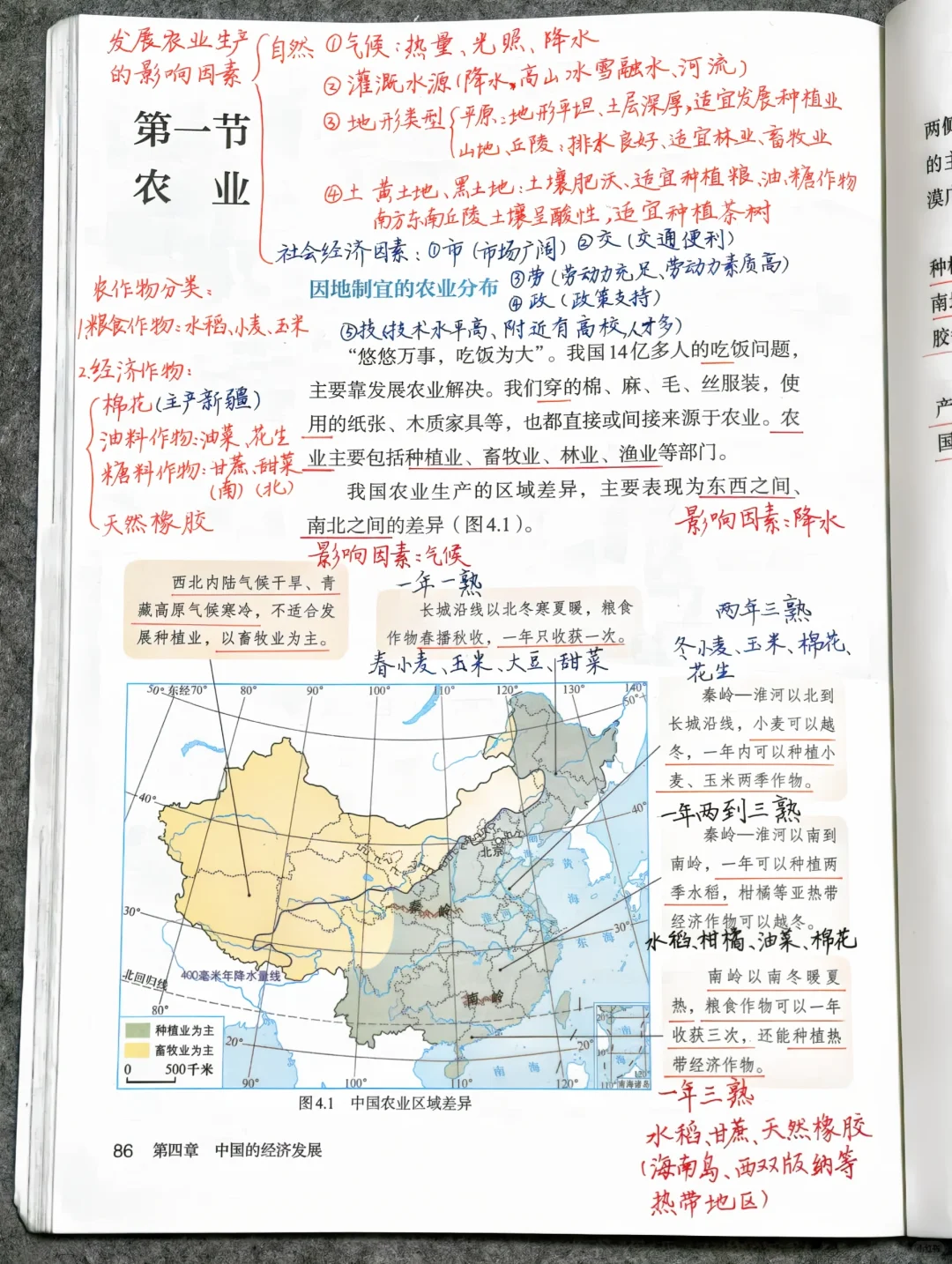 2025新教材人教版八上地理《农业》