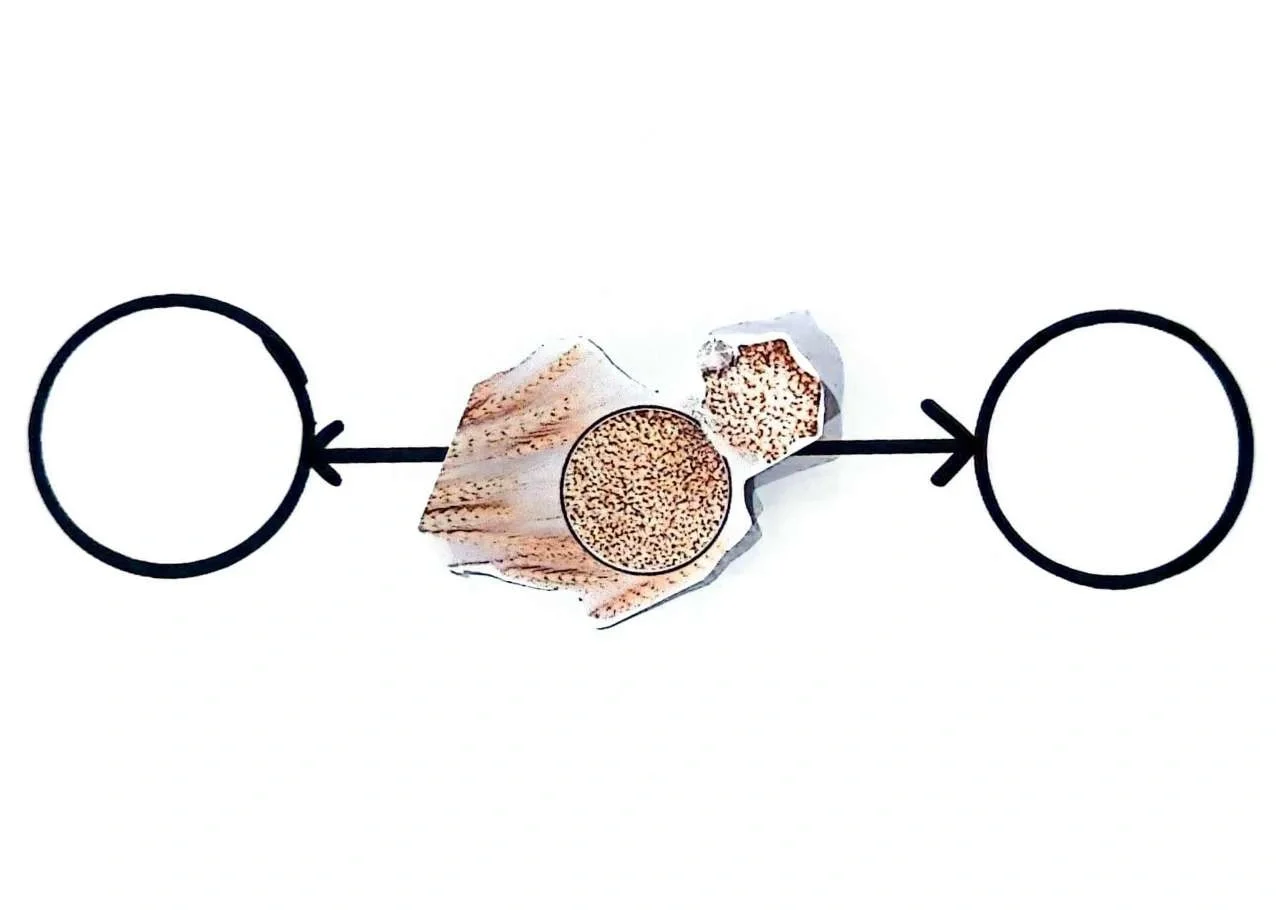 大班主题[丰收的季节]数学区（农作物加工）