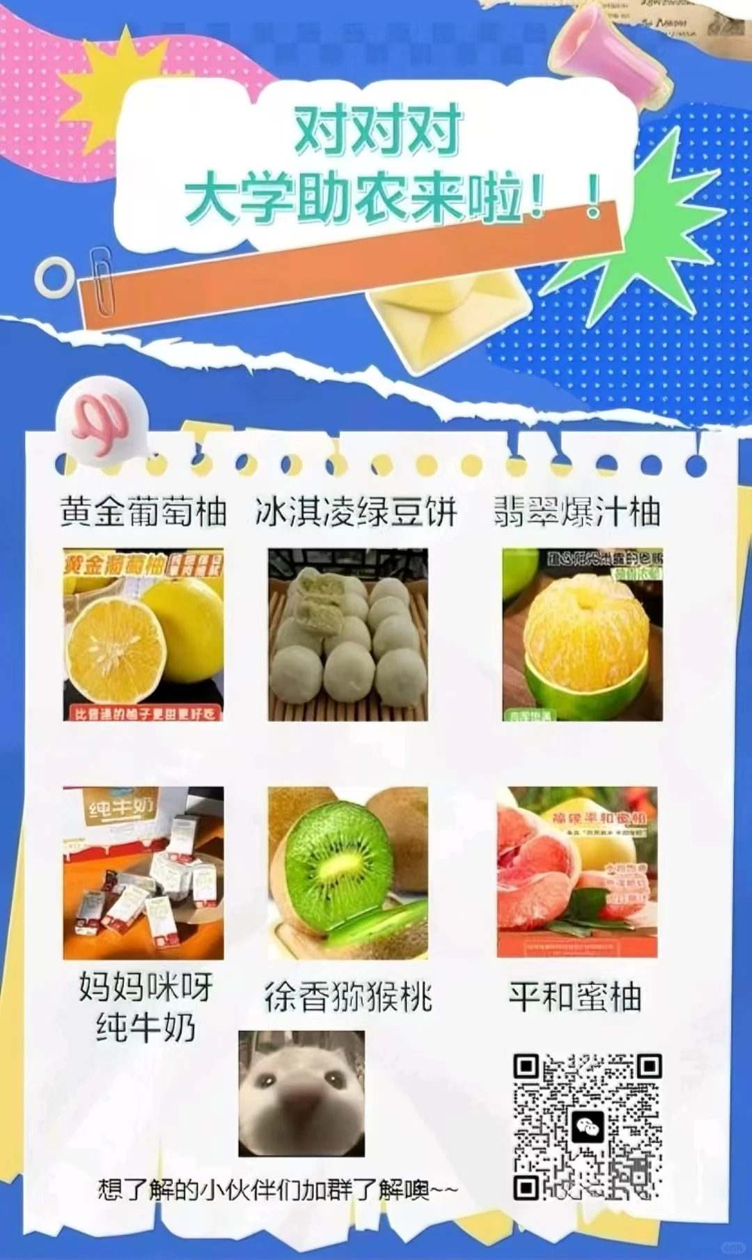 大学生助农营销比赛