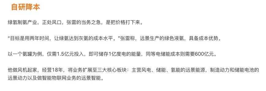 用可再生能源合成的“绿氨”