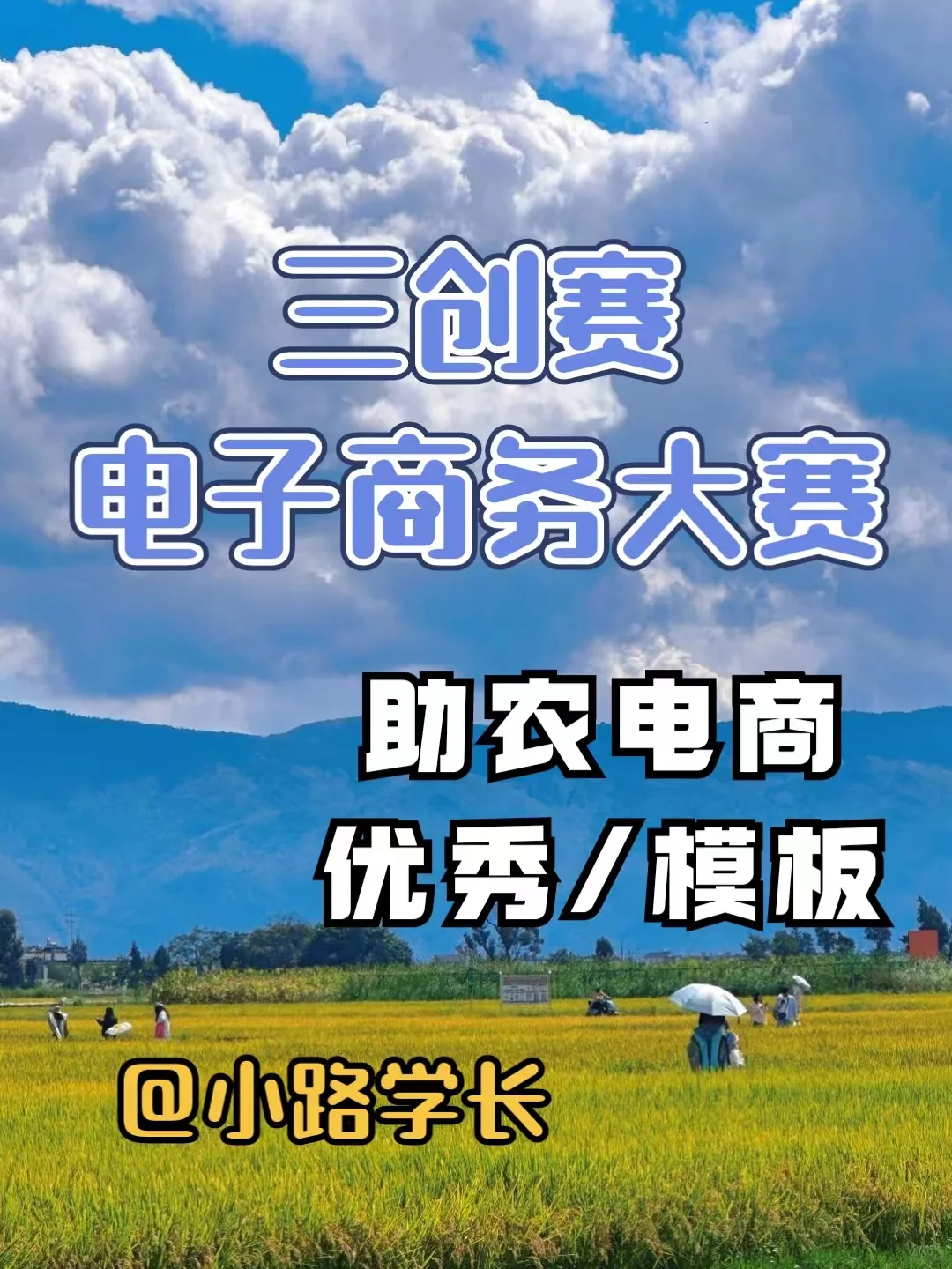 助农乡村振兴|电子商务三创赛