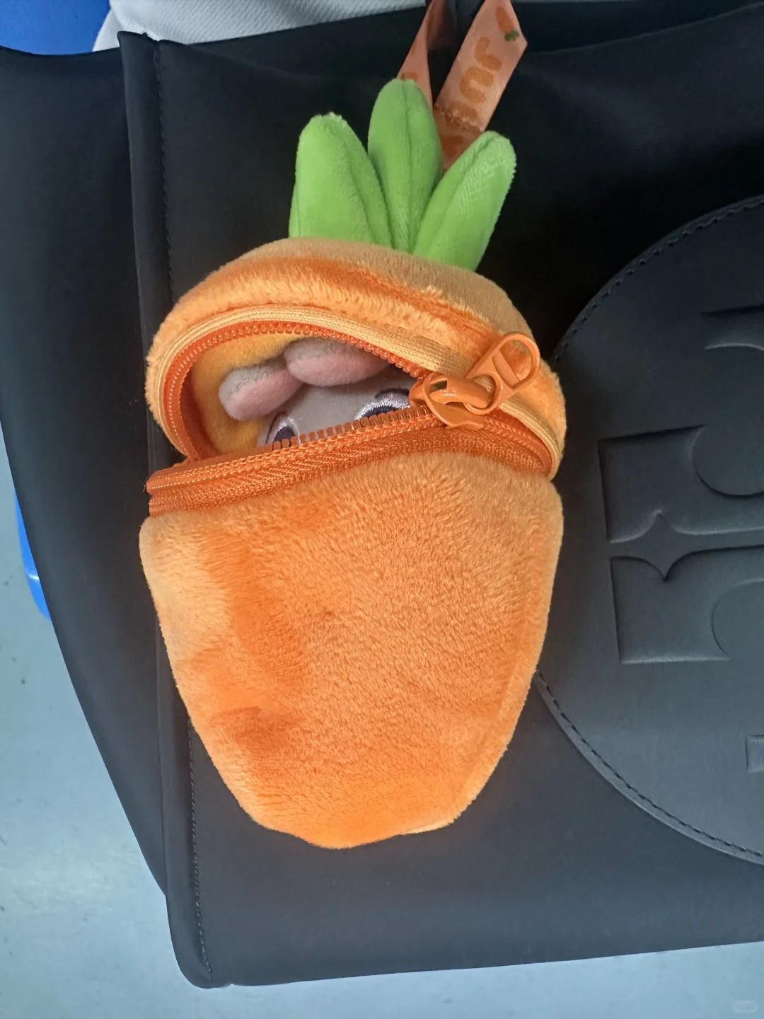 我与奶奶的秋天