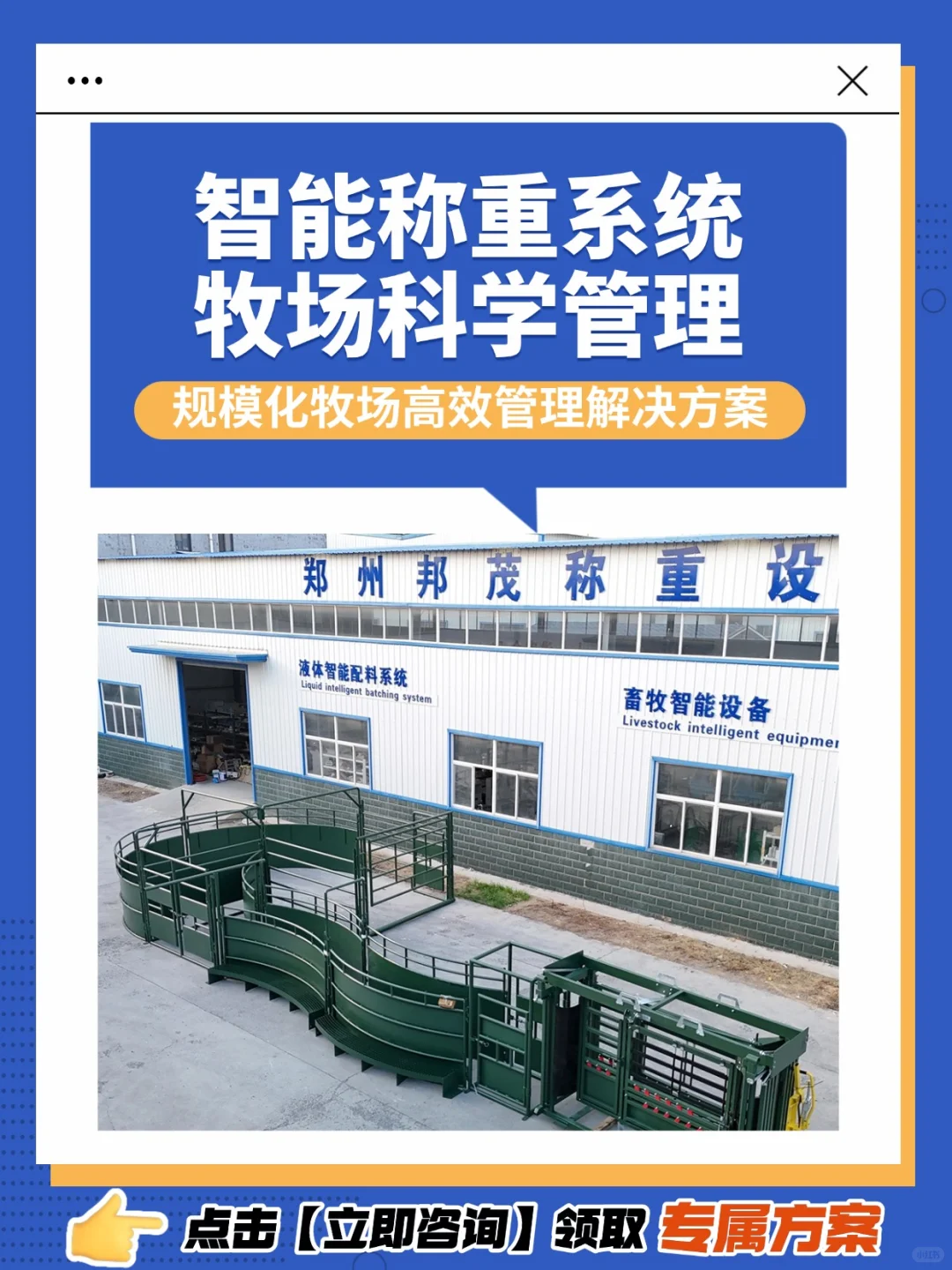 郑州邦茂|智能称重系统,助力畜牧管理升级