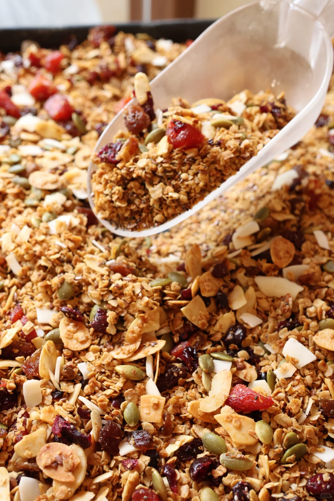 夏日上新☀️手工烘烤燕麦❗️❗️