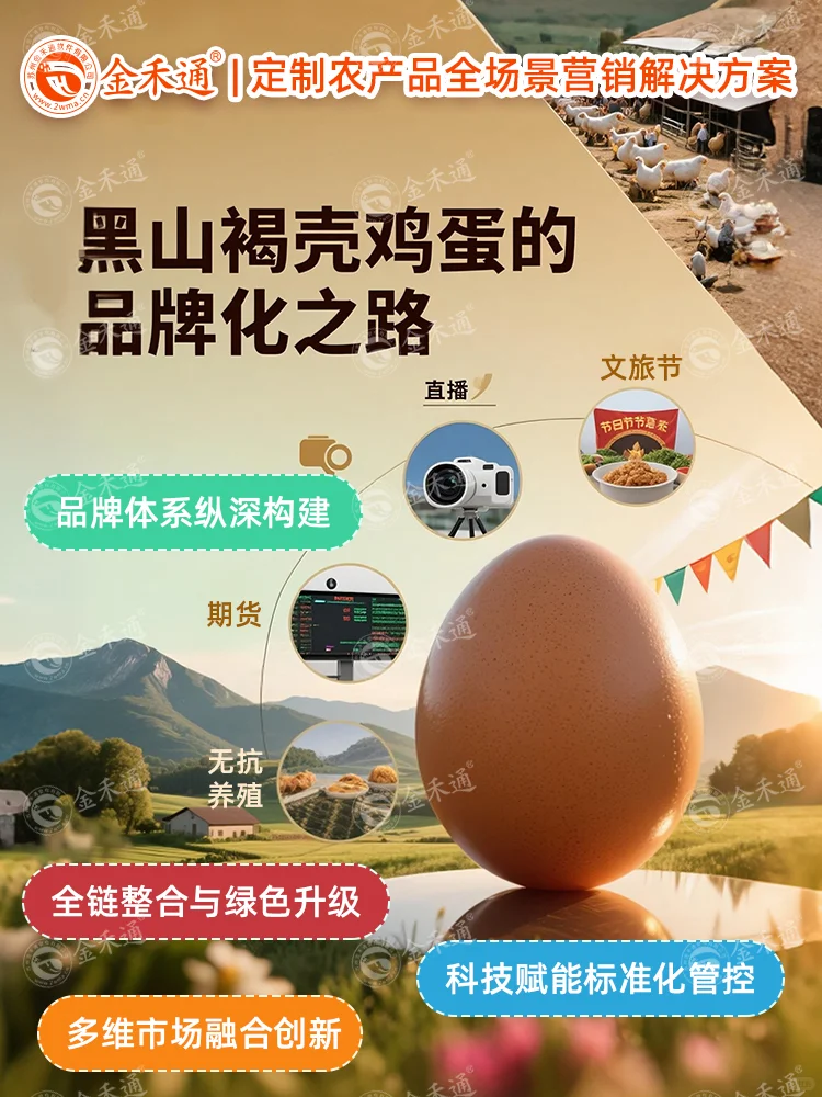 黑山褐壳鸡蛋的品牌化之路