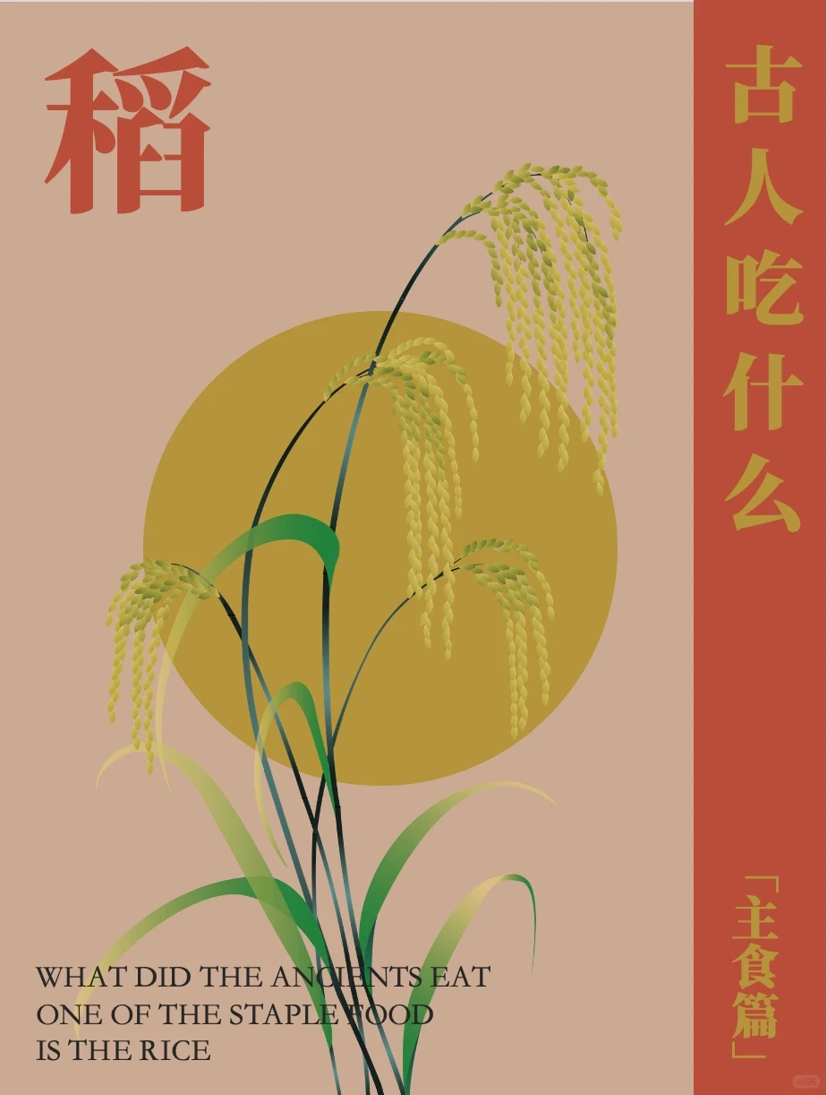 古人吃什么主食？粟、黍、麦、稻、菽！