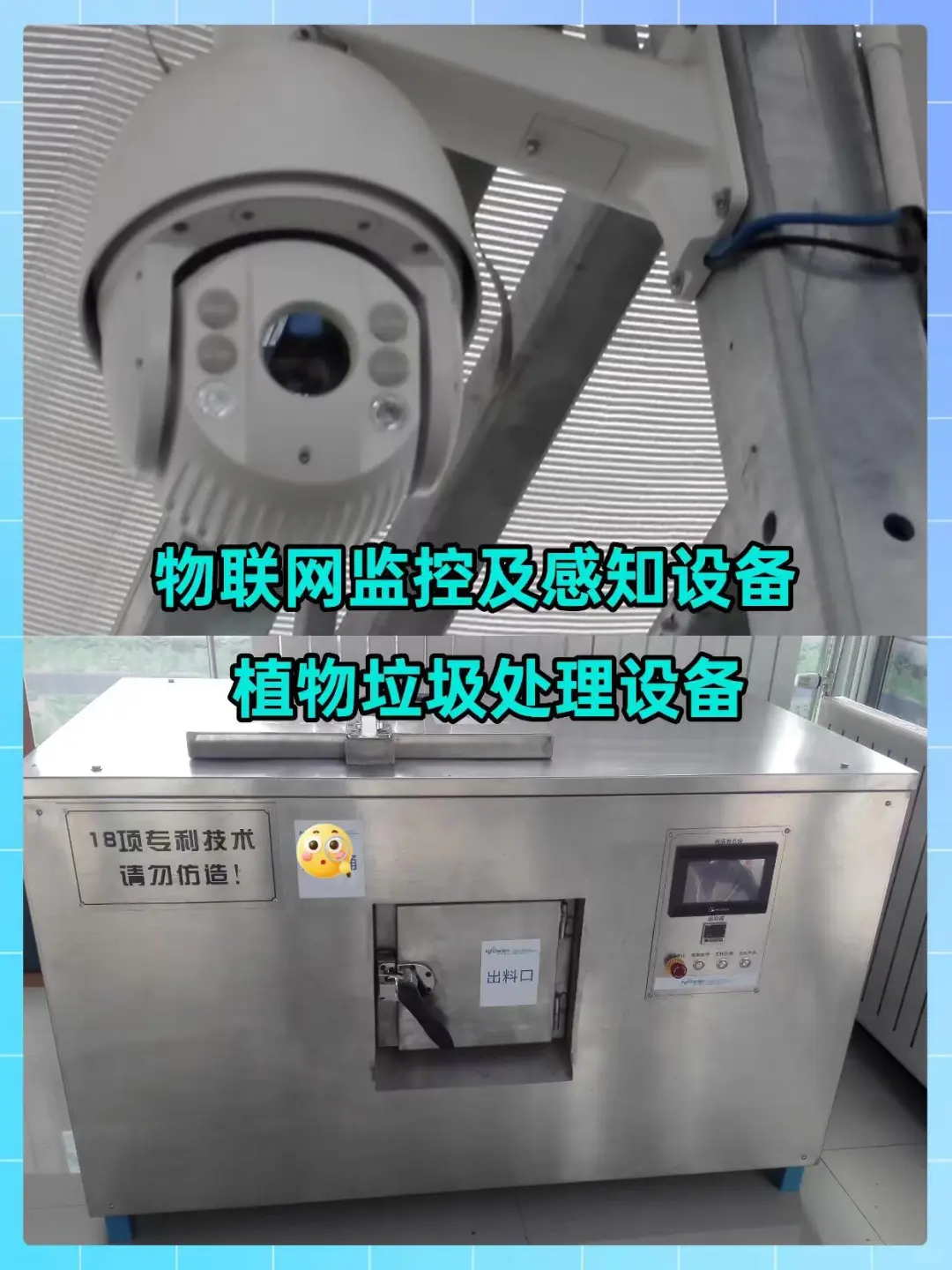 实验楼顶居然打造成了校园农场