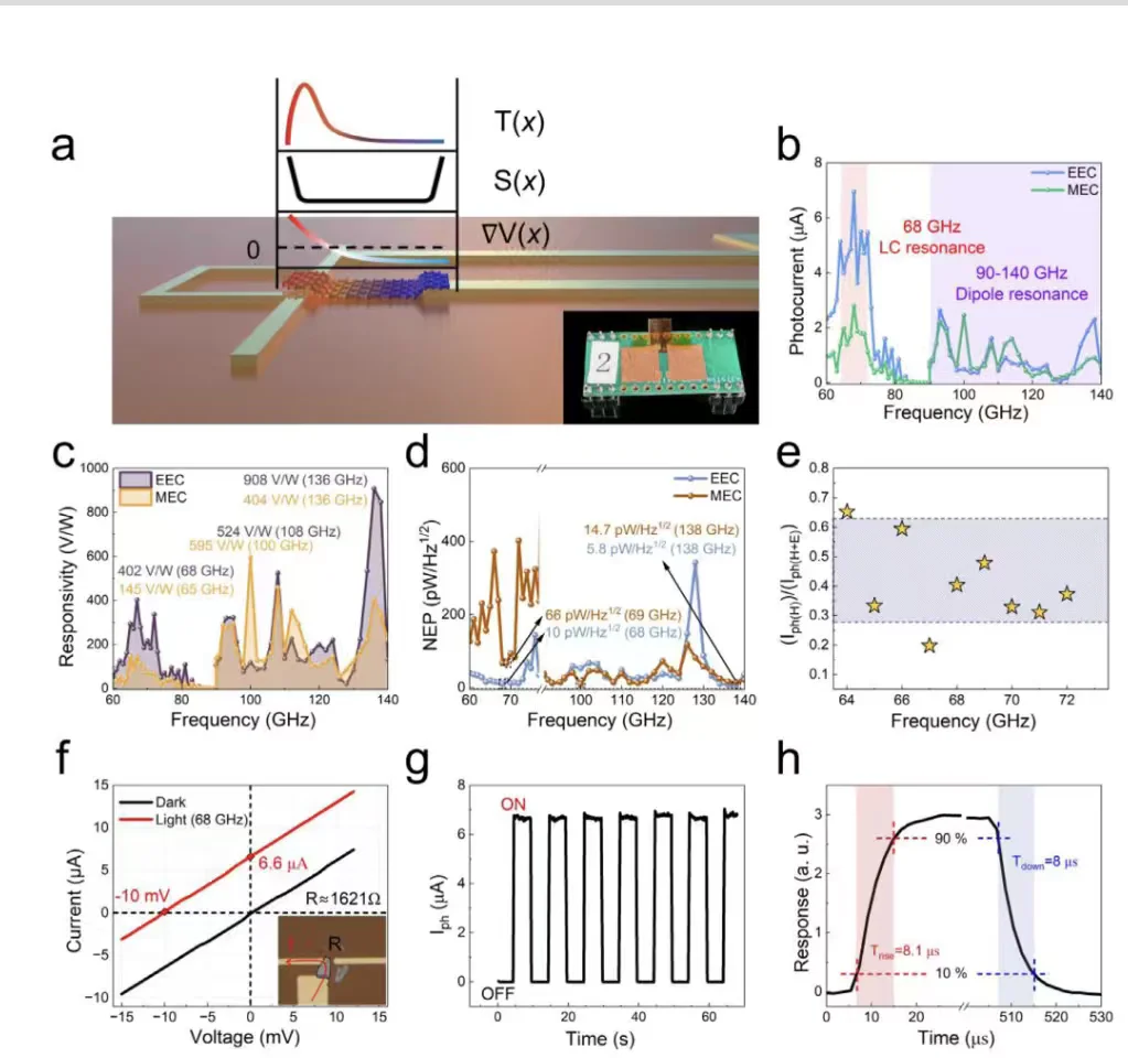2025 上海理工LPR