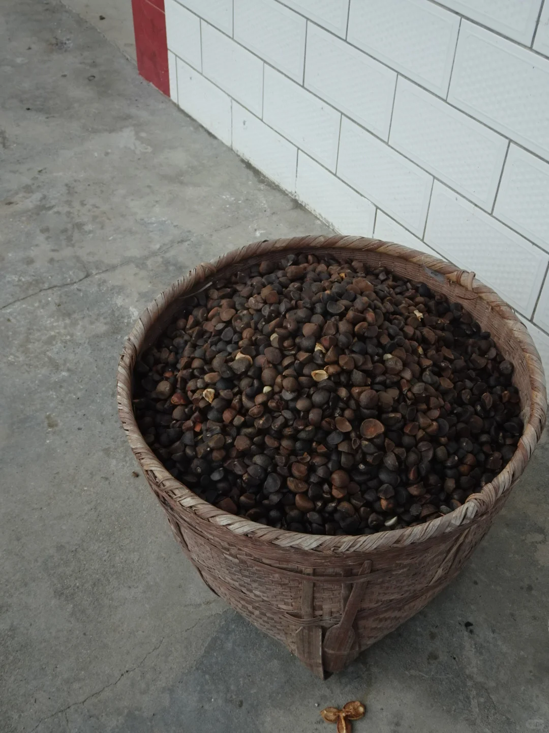 我被返乡务农的少女逗乐了