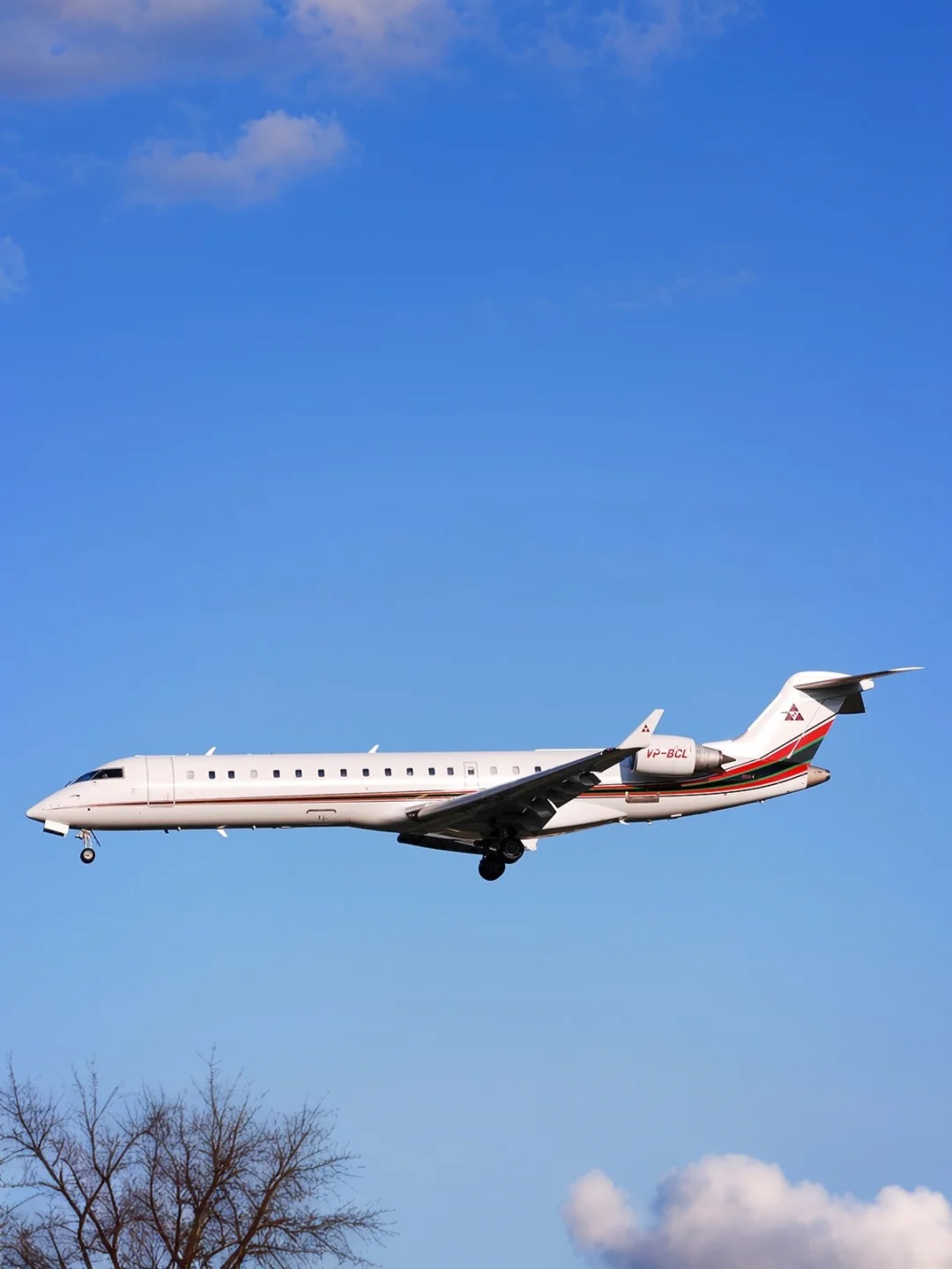 私人飞机(499)—联合承包商公司的庞巴迪