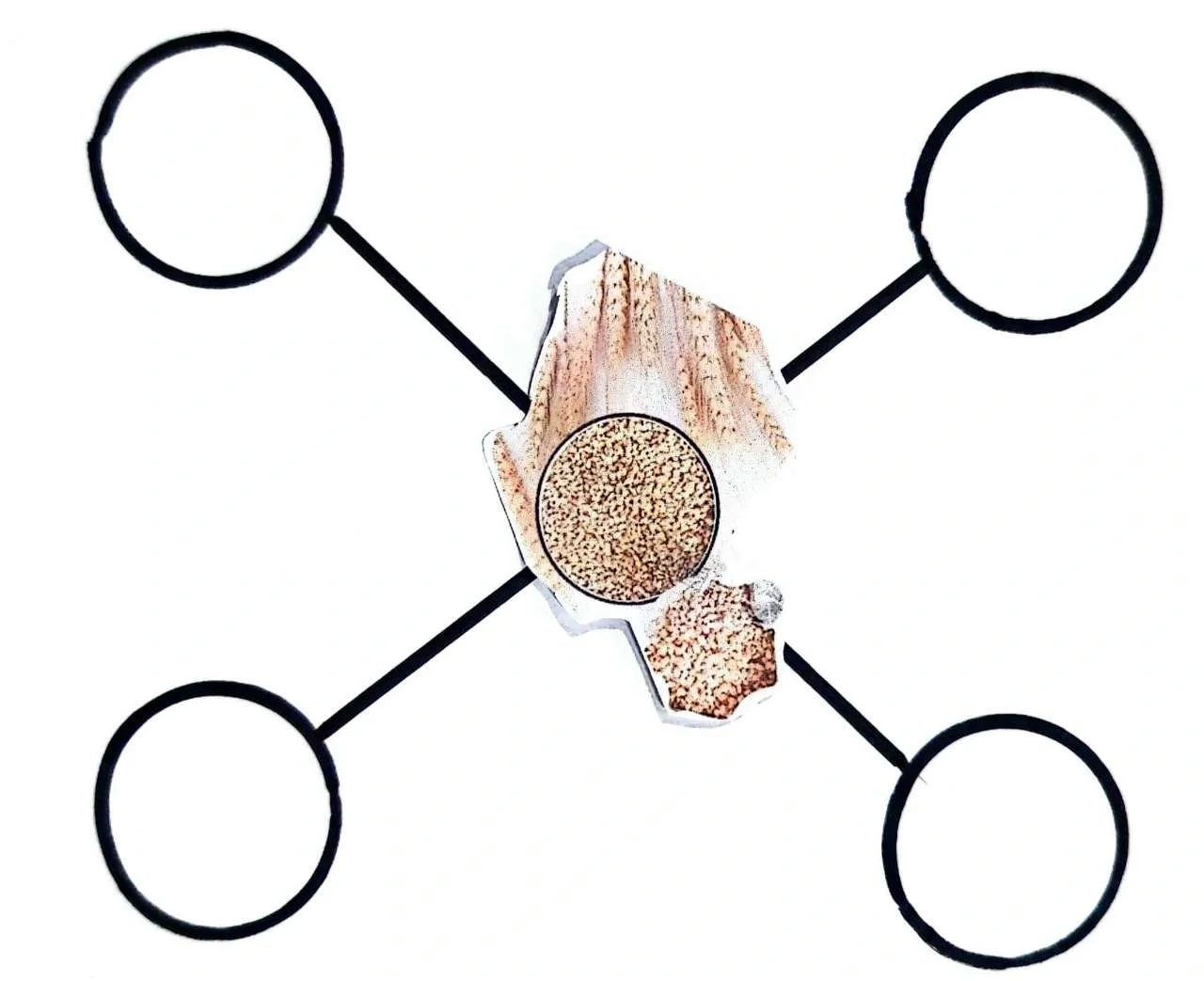 大班主题[丰收的季节]数学区（农作物加工）