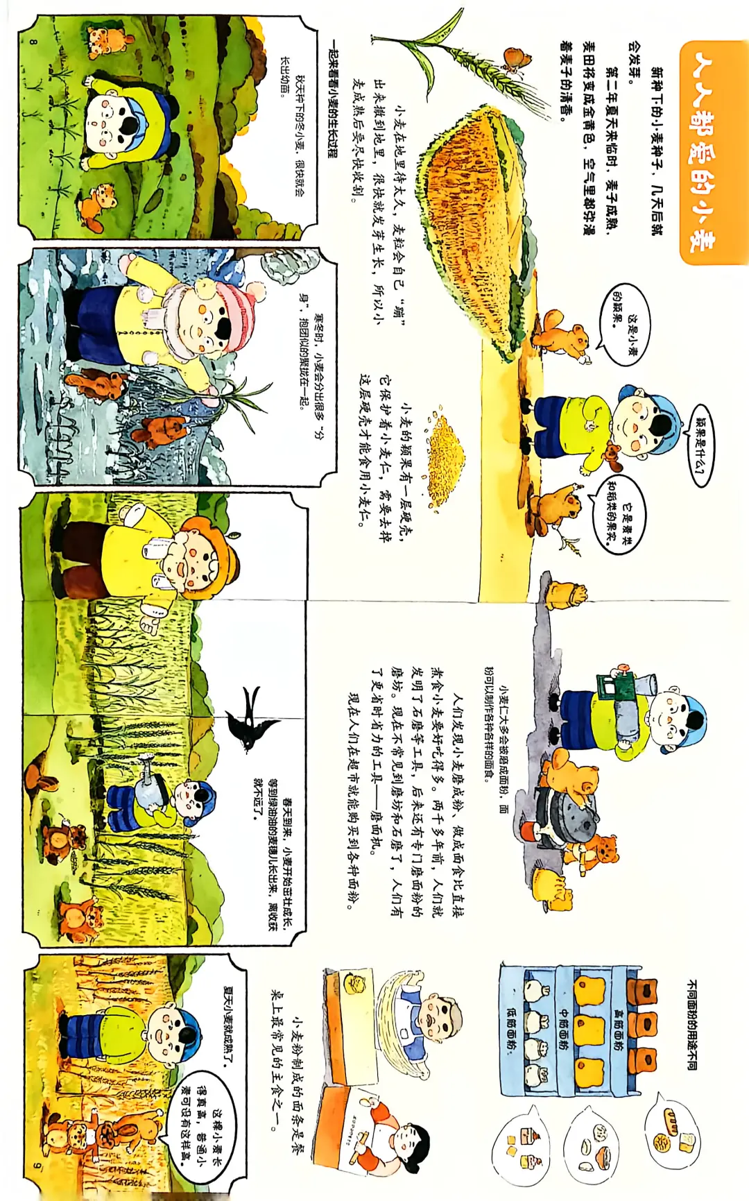 ?《丰收的粮食》大地来信藏着粮食的秘密