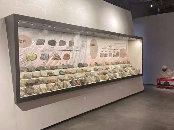 博物馆展柜：文物的守护者与故事的讲述者