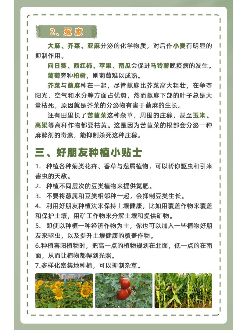 农作物也有朋友圈，好朋友种植法让收入翻倍