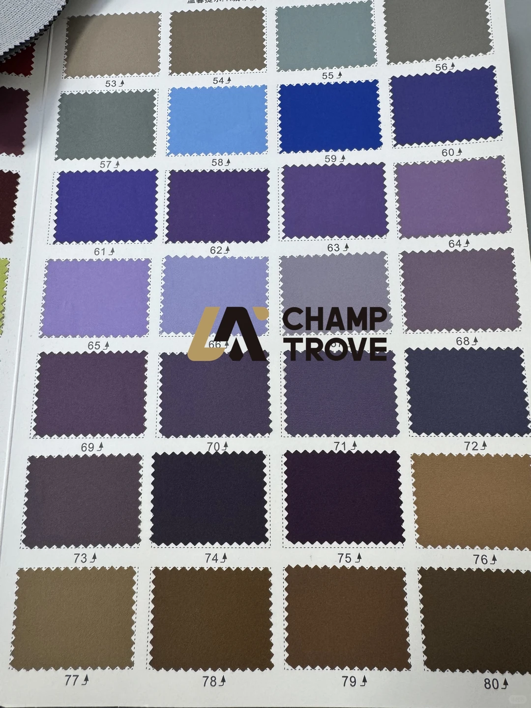 冰球教练服打版出来了?️