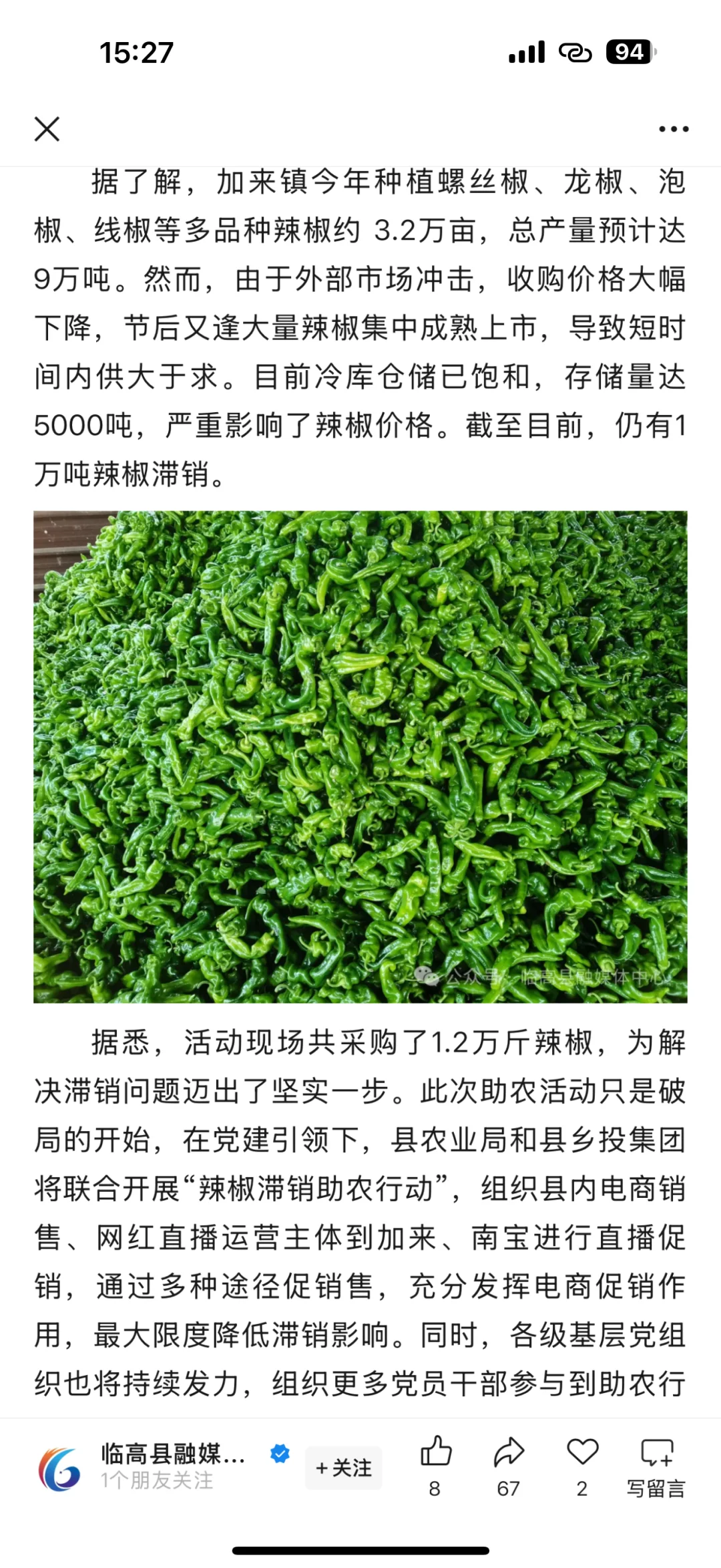 ?️紧急助农！海南临高辣椒滞销