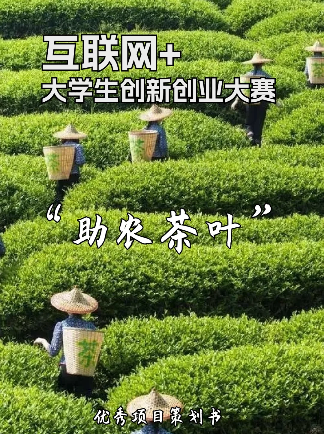 助农茶叶优秀项目计划书