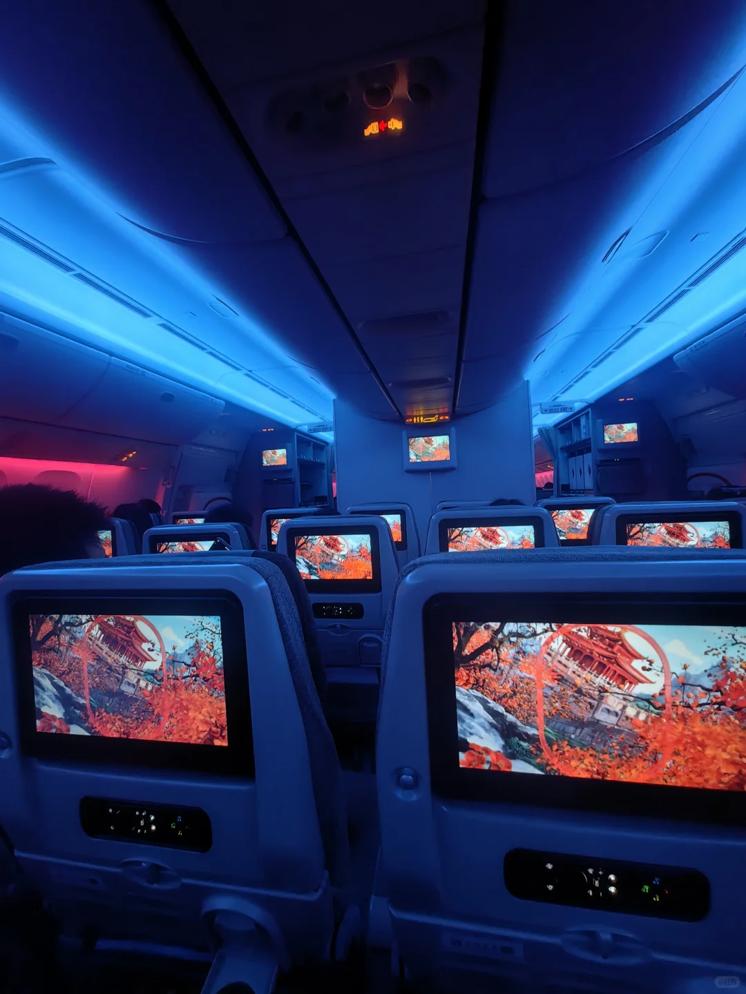 宽体客机的吞吐量真的不一般啊！