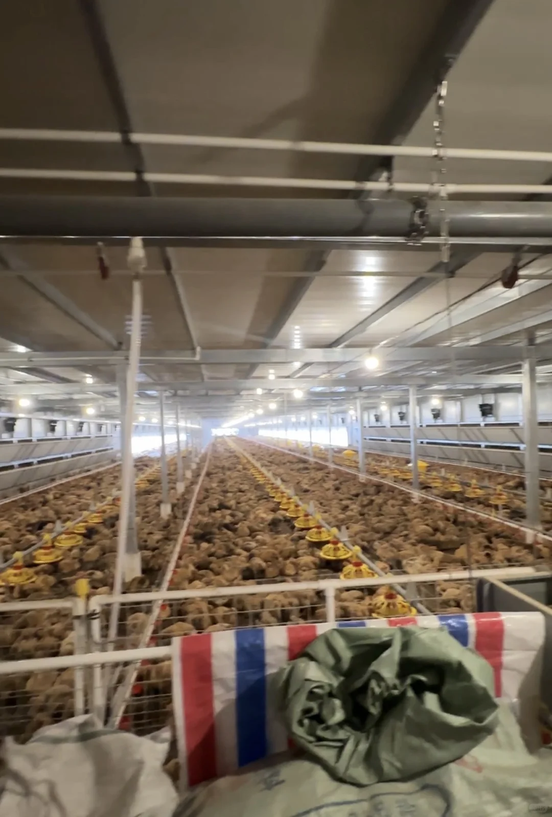 传福瑞暖风机、加热器、供暖设备、过冬必备