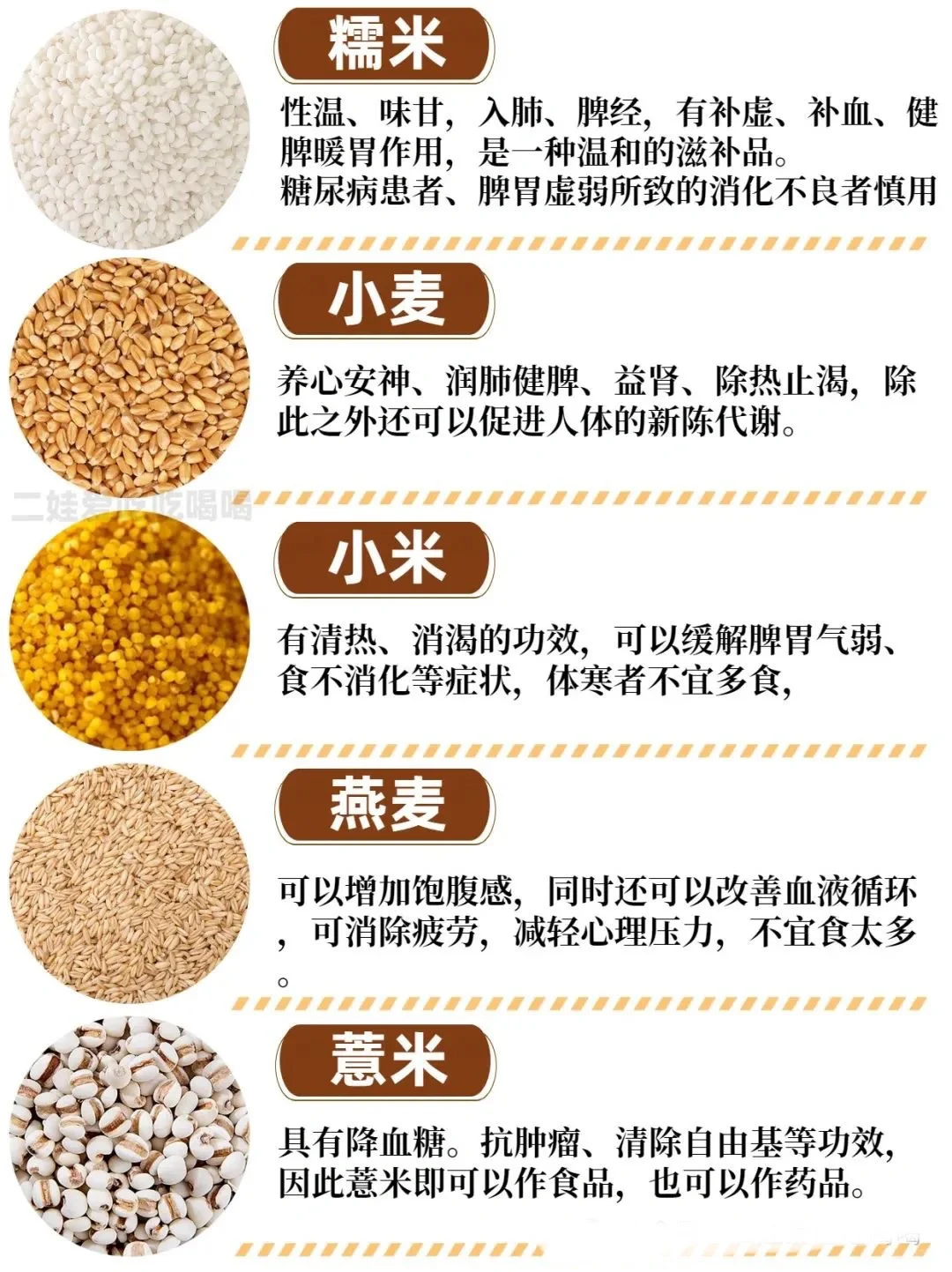 爱吃粗粮 养生 谷物杂粮图鉴?看这篇就够了