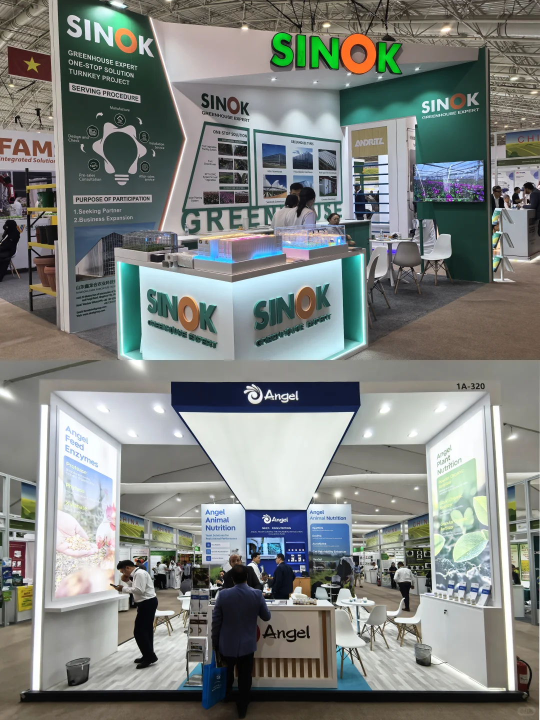 沙特农业展收官,中东粮仓的窗口正在敞开