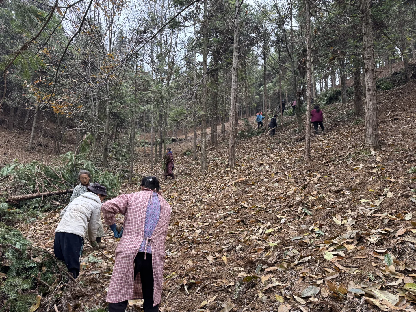 当千万富翁回到小山村搞投资