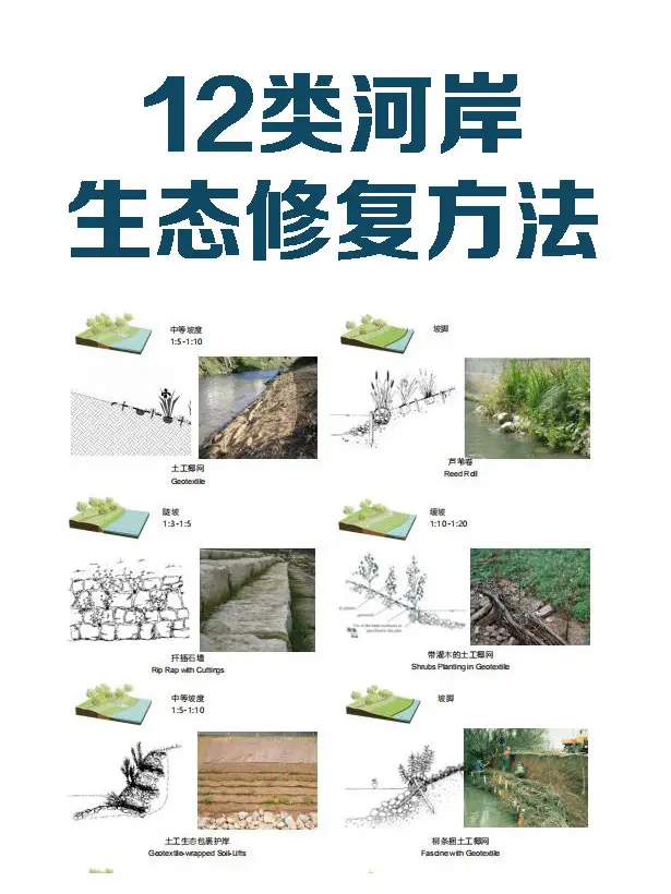 分析图|12类河岸生态修复的方法