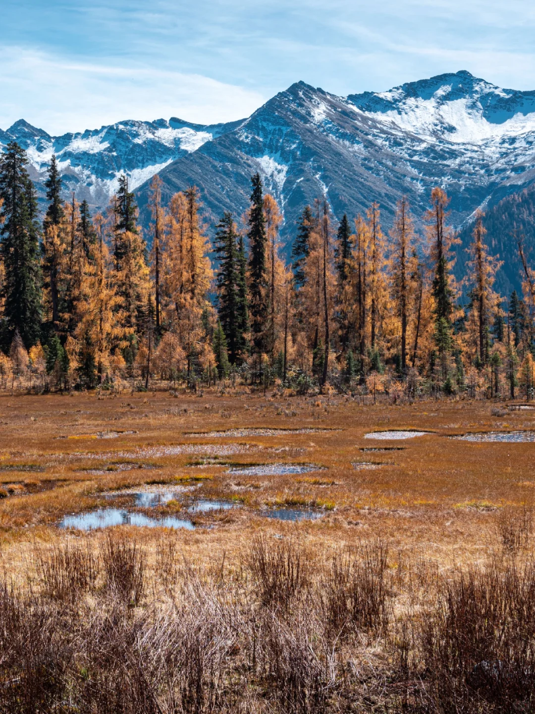 分享一个清净点的周末赏秋秘境?