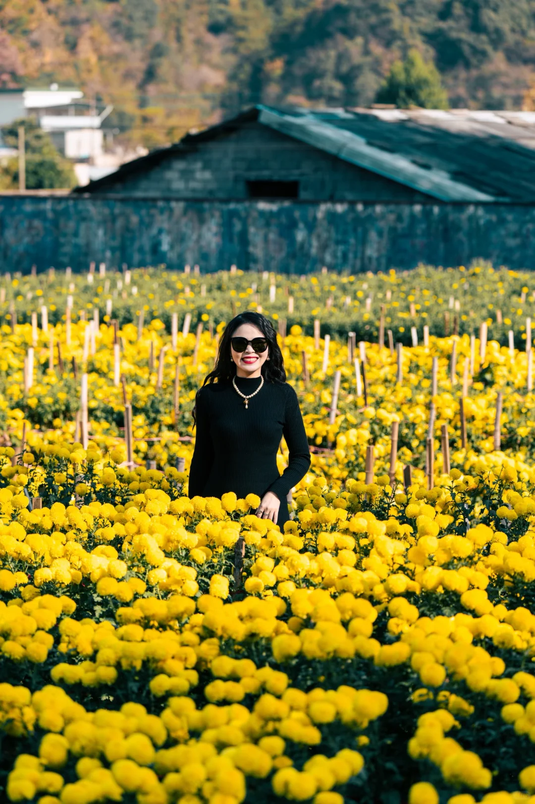 不愧是老祖宗严选，皖南秋色美出新高度！