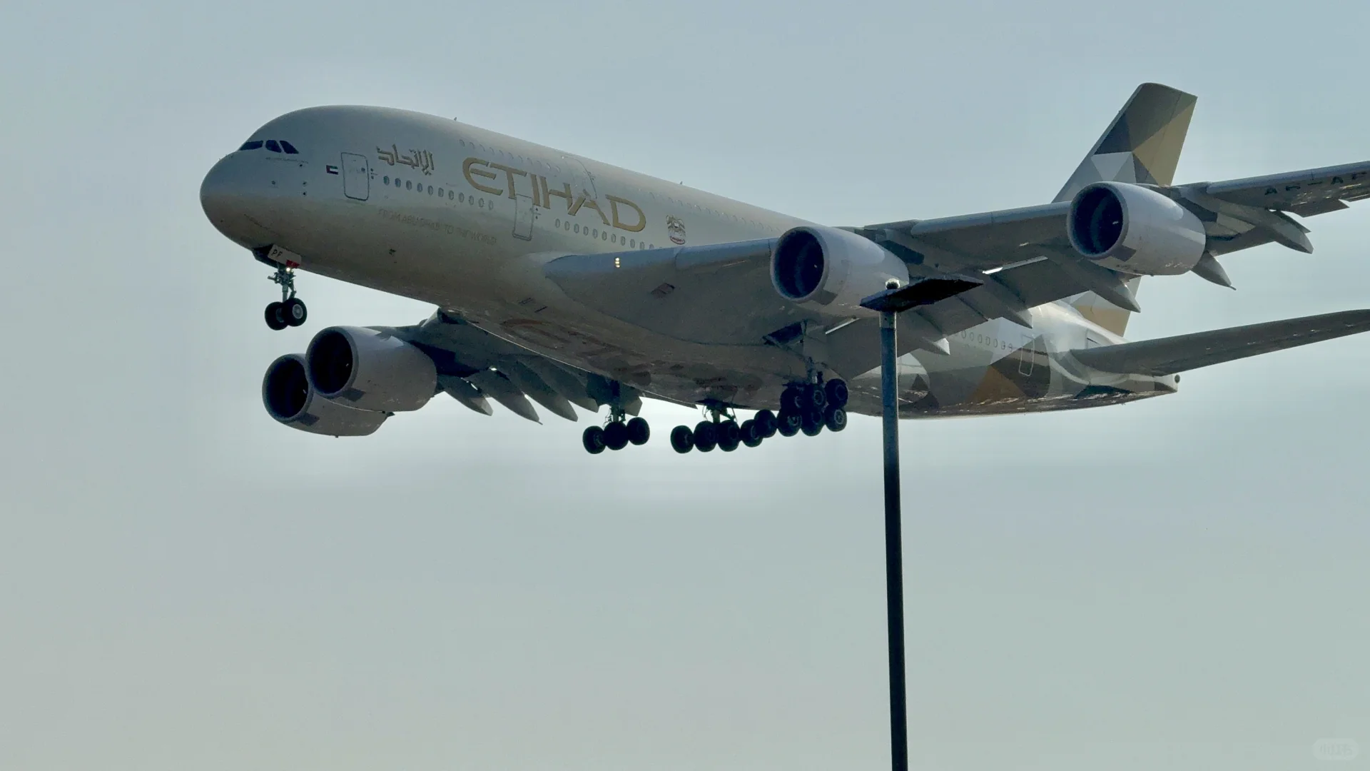 看到了，真飞机✈️✈️