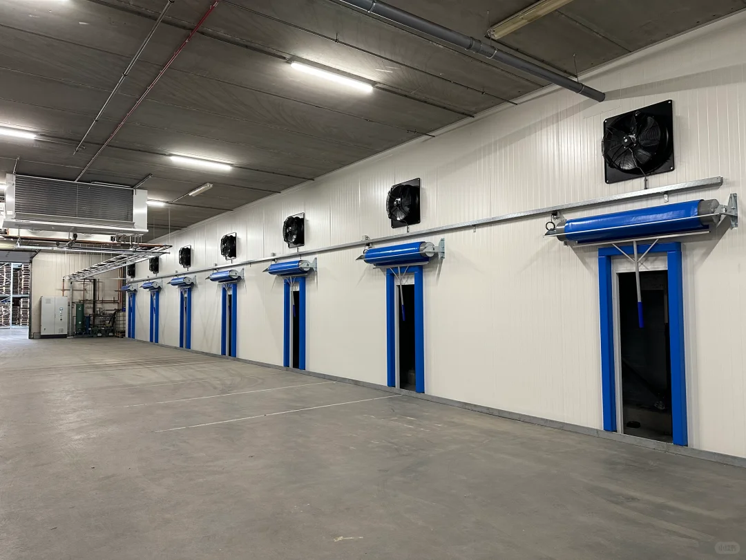 公司位于荷兰??的加工厂换新升级