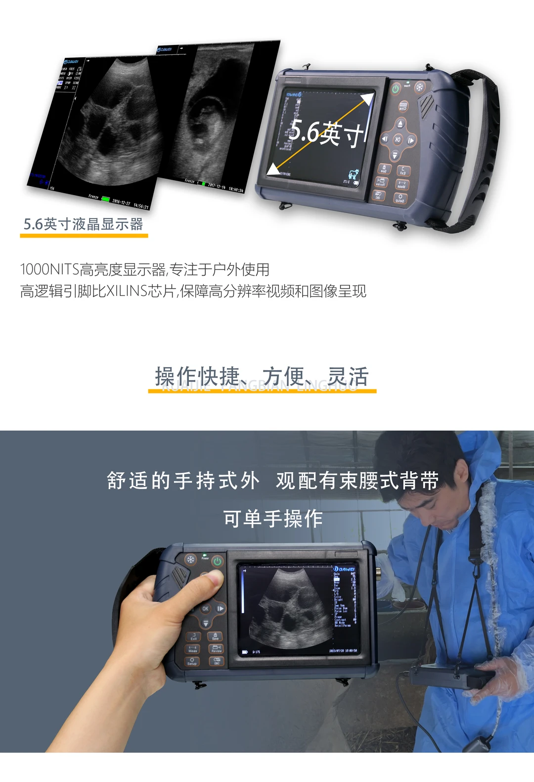 猪马牛羊通用的B超设备