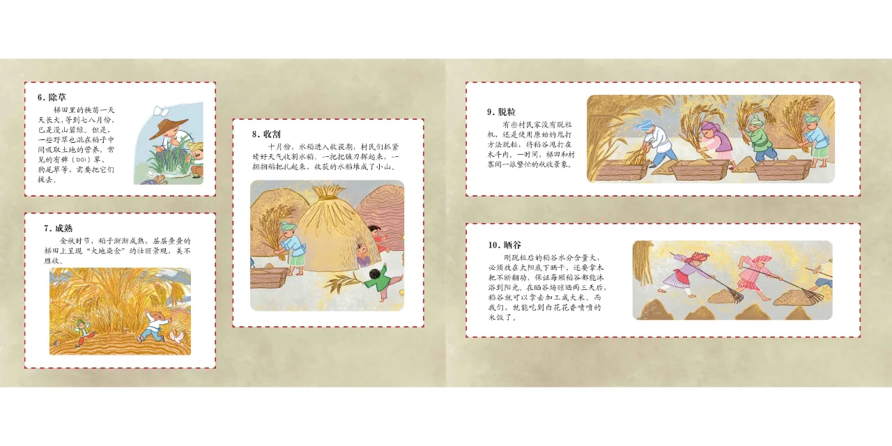 中国原创绘本《春泥稻花香》