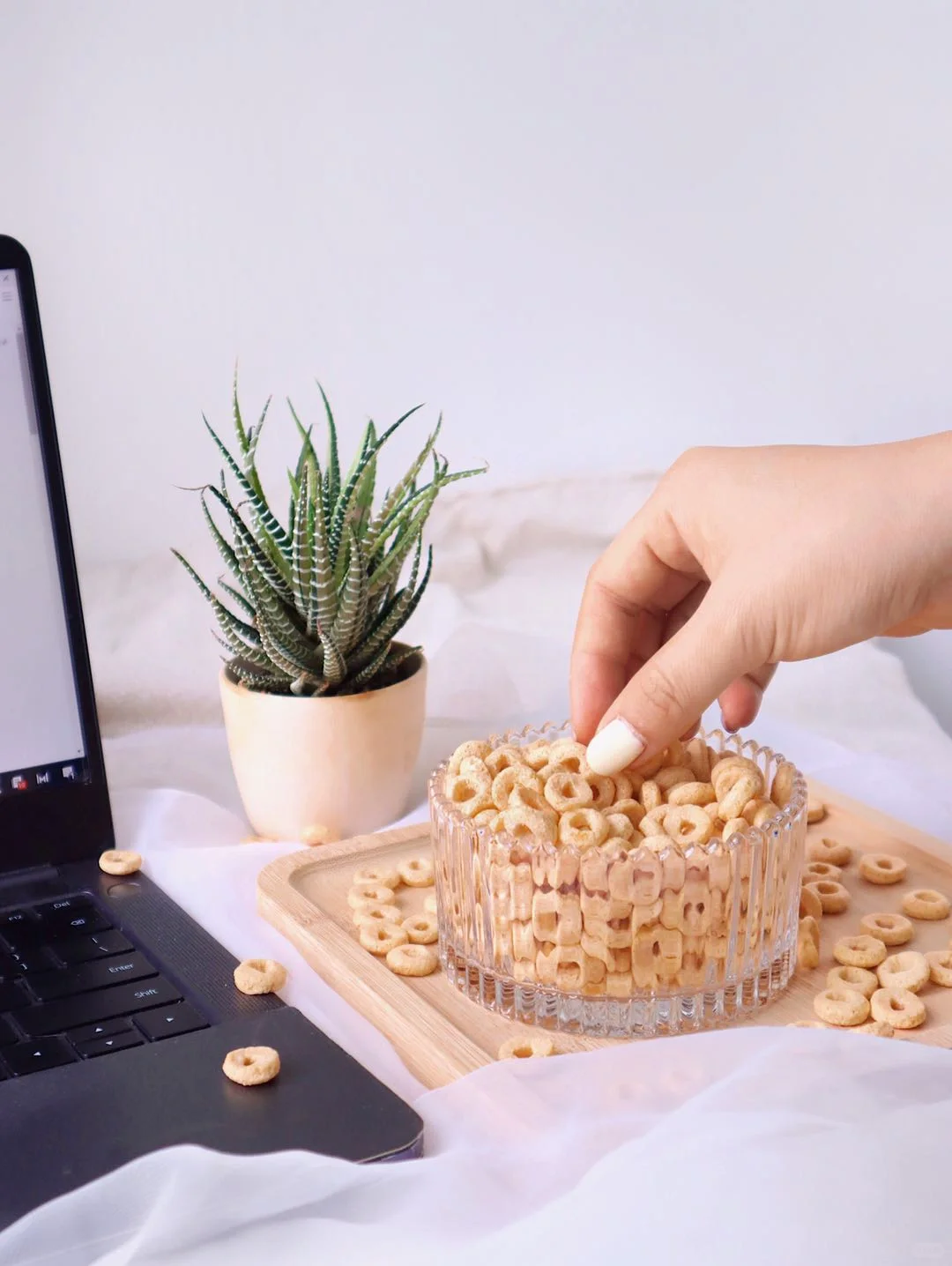 剧透啦‼️雀巢谷物脆谷乐全新包装上线～