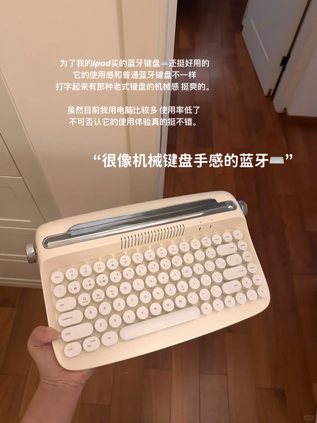 ??我家使用率高的小电器：不写美丽废物。