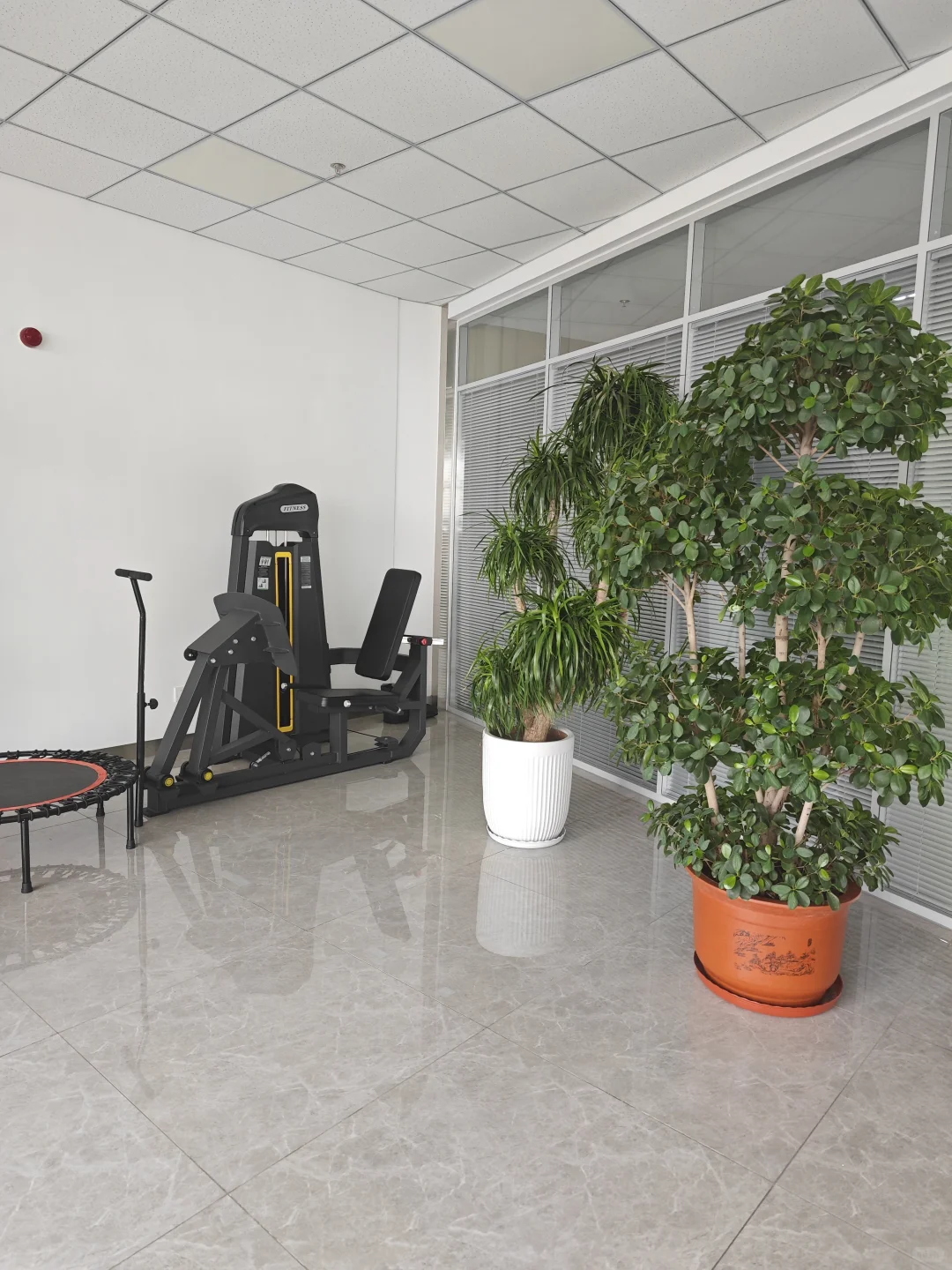 救命！我们农业公司竟然配了健身房！