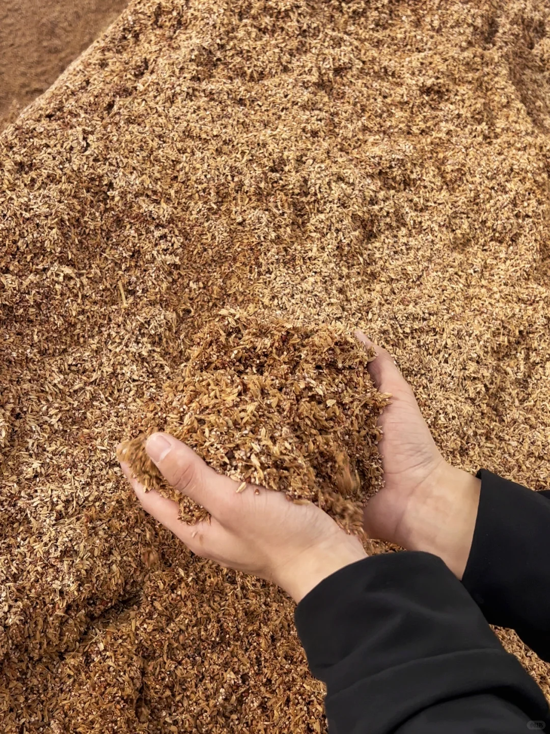 不是,谁有你厉害啊!从种高粱开始……