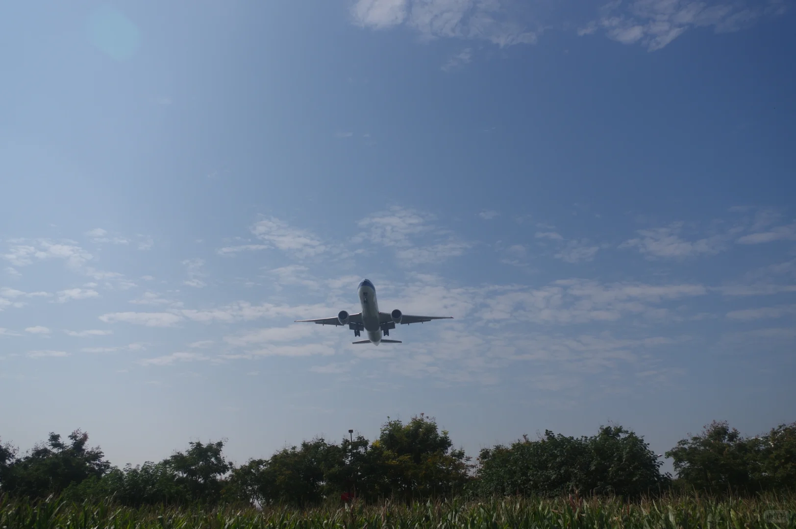 超宽体机降落确实带风