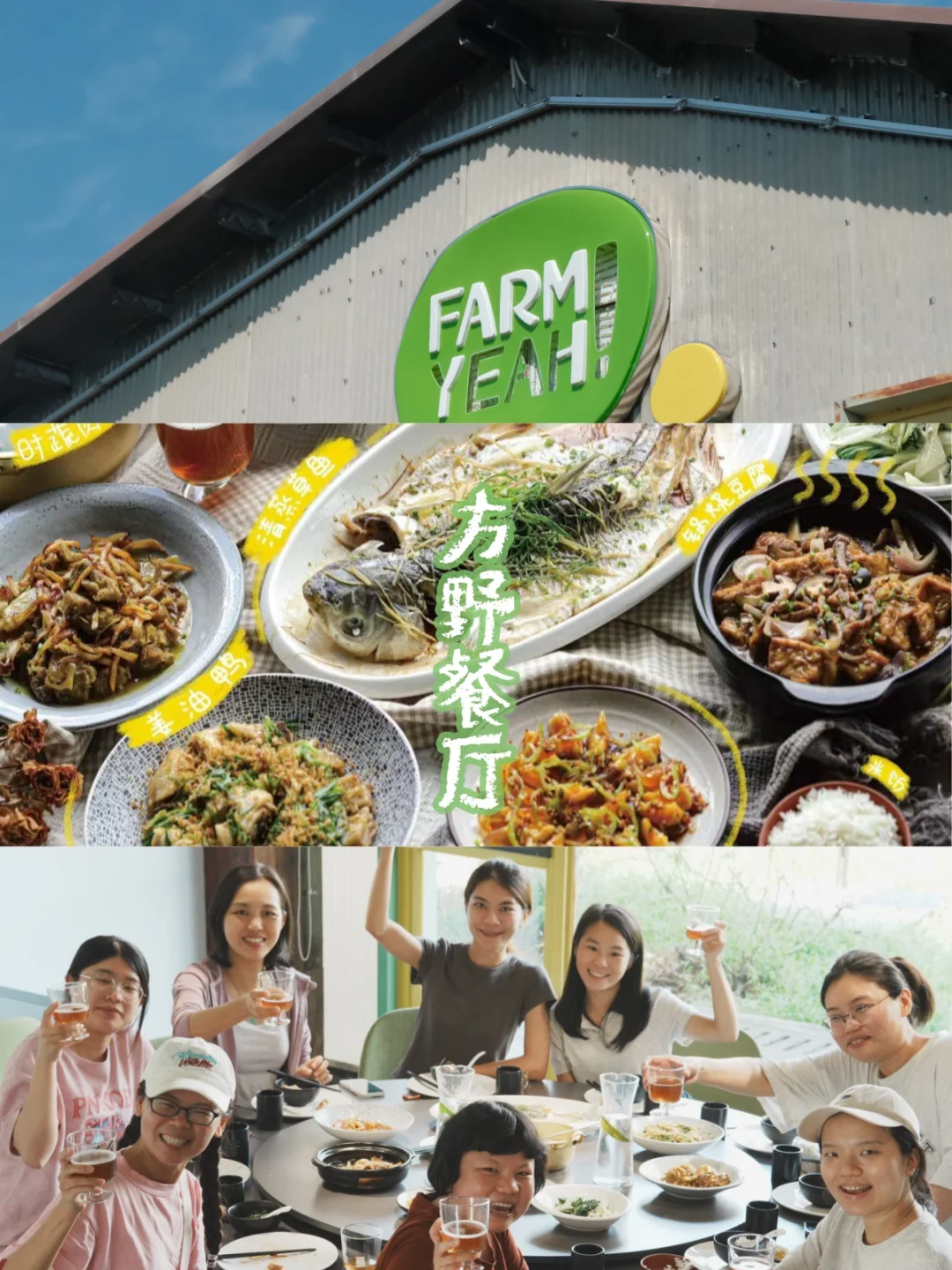 十五年的有机农场是什么样子？