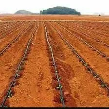 国外经销商采购图中农机设备