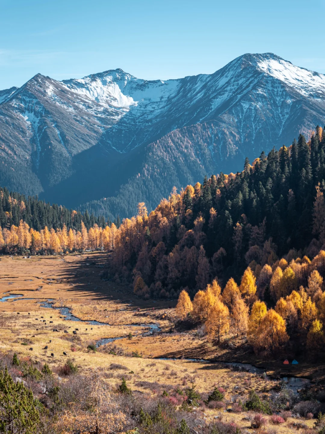 分享一个清净点的周末赏秋秘境?
