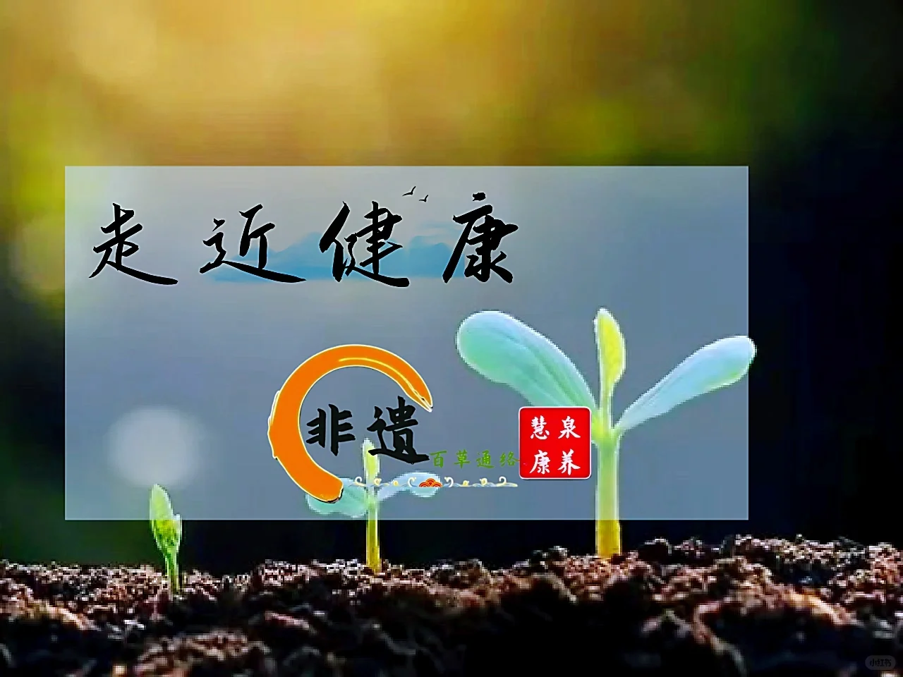 非遗百草通络传承发展悠悠檀香绕古今