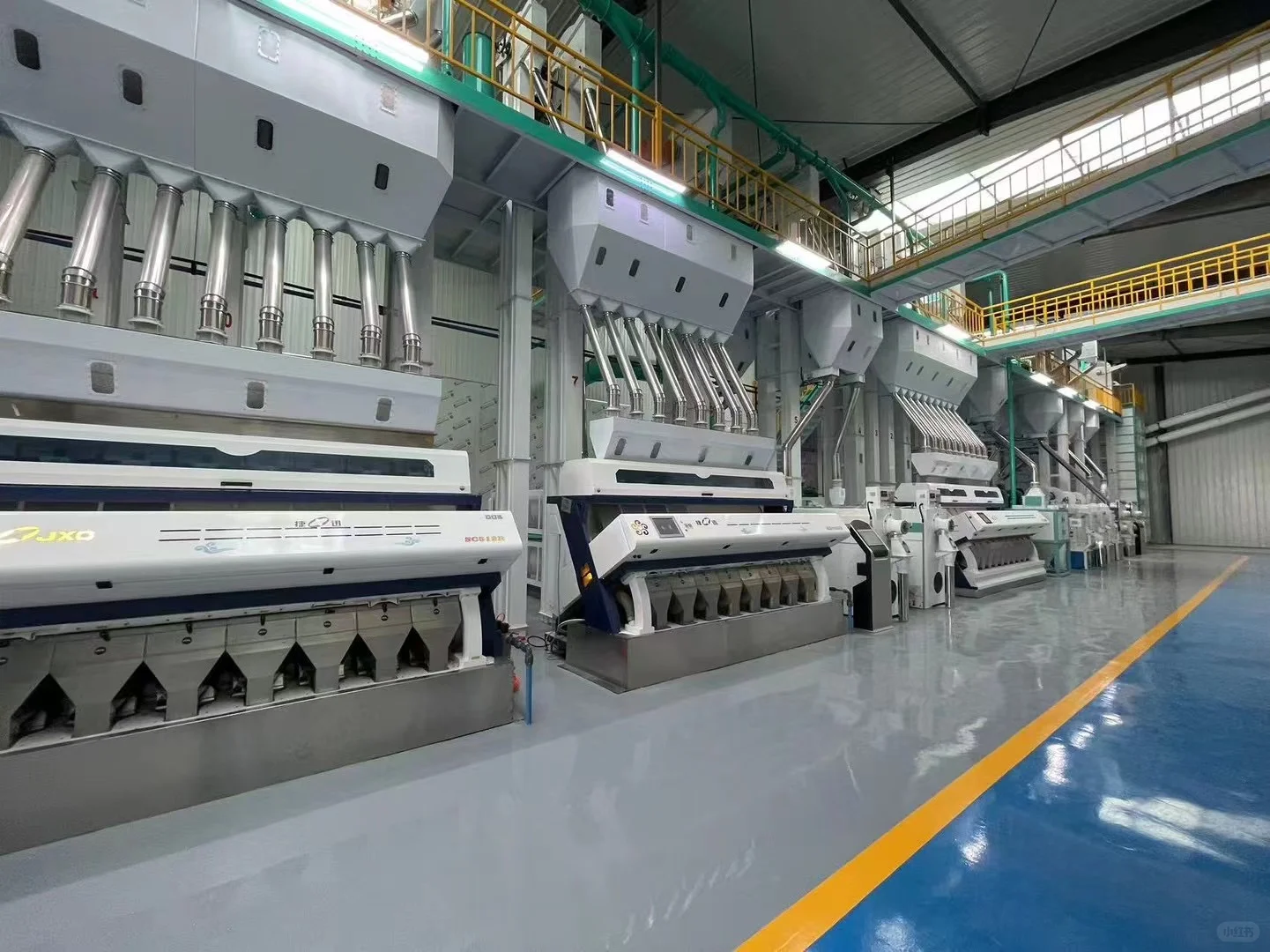 大米是怎么生产的,看了你还敢吃大米了吗?