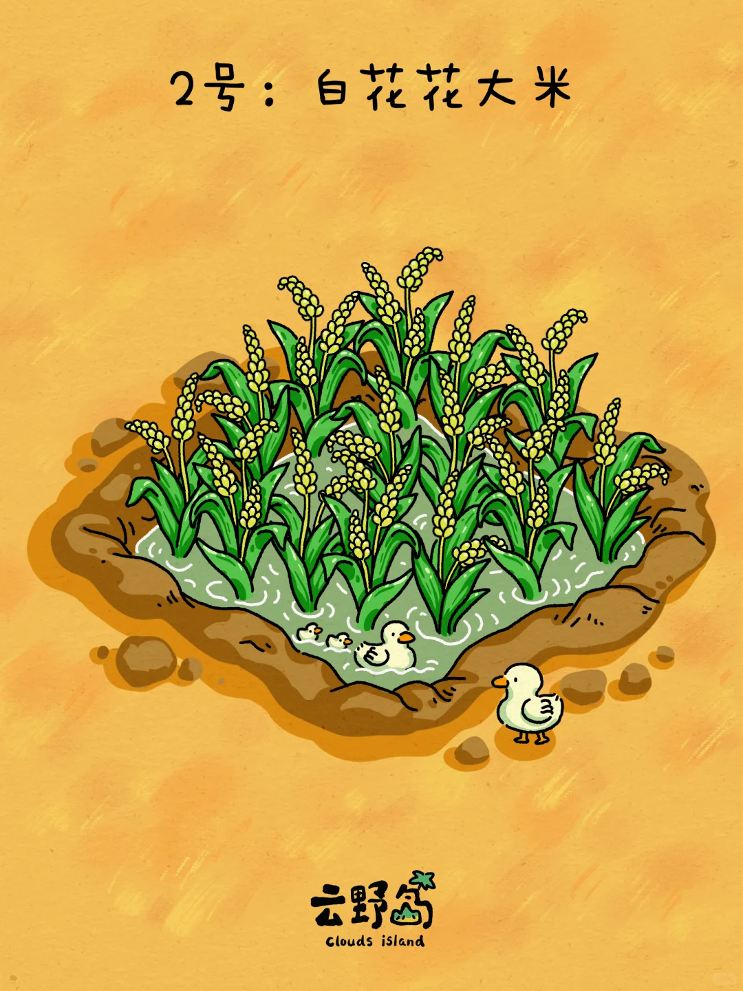 荒岛生存，四种主粮只能选一个，你咋选择？