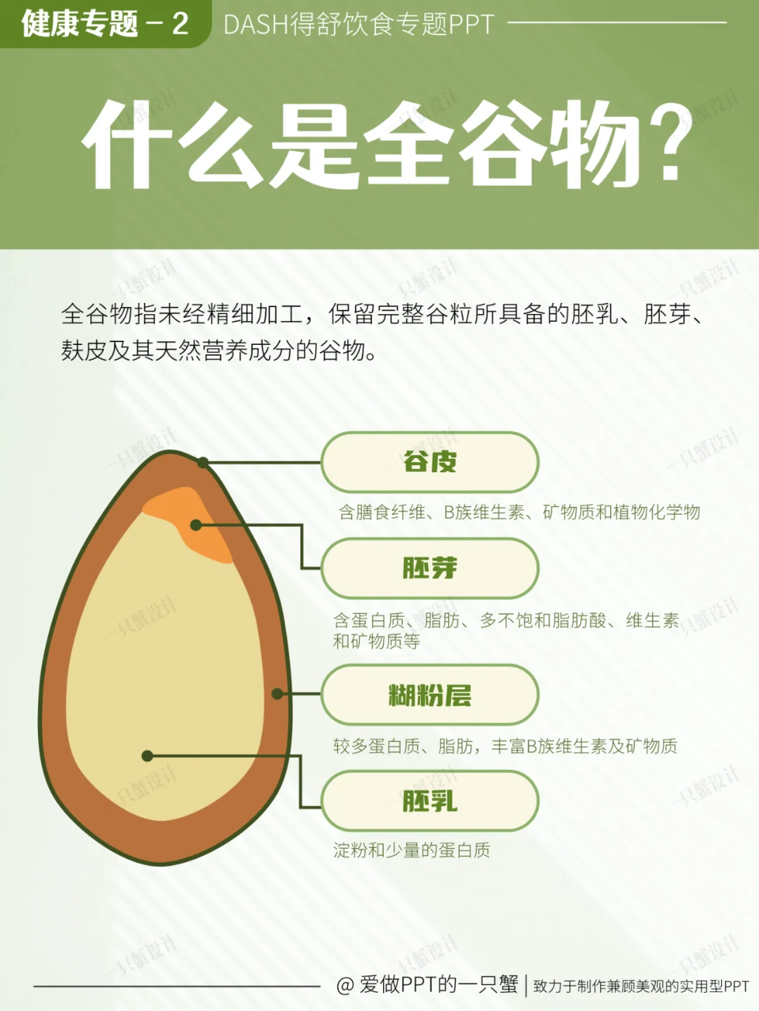 ?健康专题2-全谷物——健康的黄金钥匙